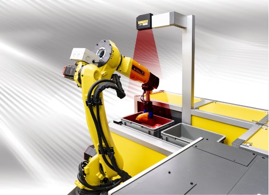 Robotic Vision Inspection System